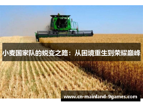 小麦国家队的蜕变之路：从困境重生到荣耀巅峰