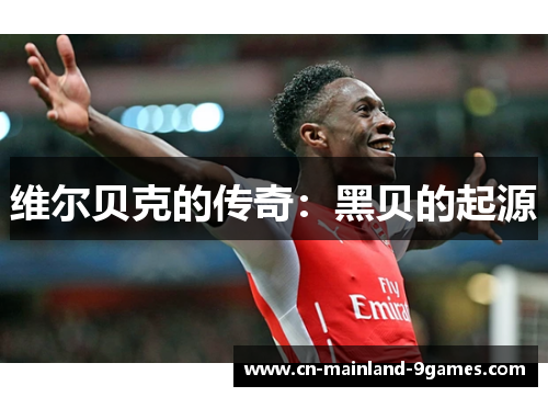 维尔贝克的传奇：黑贝的起源
