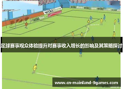 足球赛事观众体验提升对赛事收入增长的影响及其策略探讨