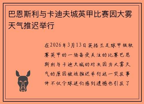 巴恩斯利与卡迪夫城英甲比赛因大雾天气推迟举行